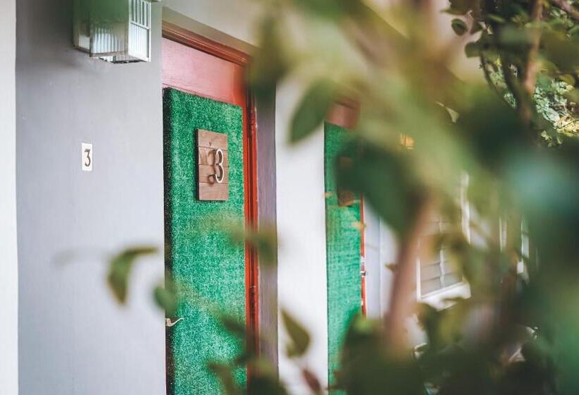 스탠다드 스튜디오 킹침대, Hollywood Light Haven Lodge