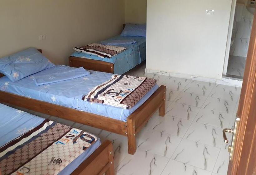 اتاق استاندارد, Driti Gh Nderlysa