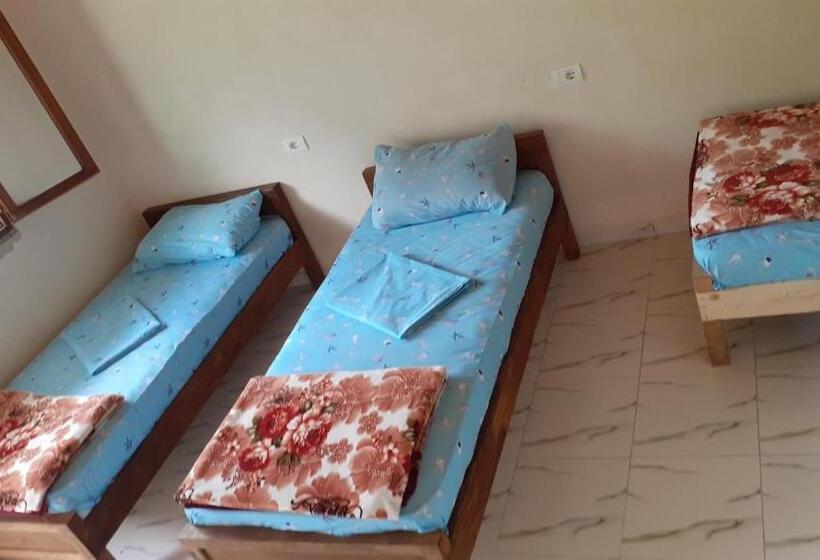 اتاق استاندارد, Driti Gh Nderlysa