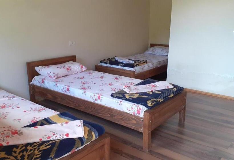 اتاق استاندارد, Driti Gh Nderlysa