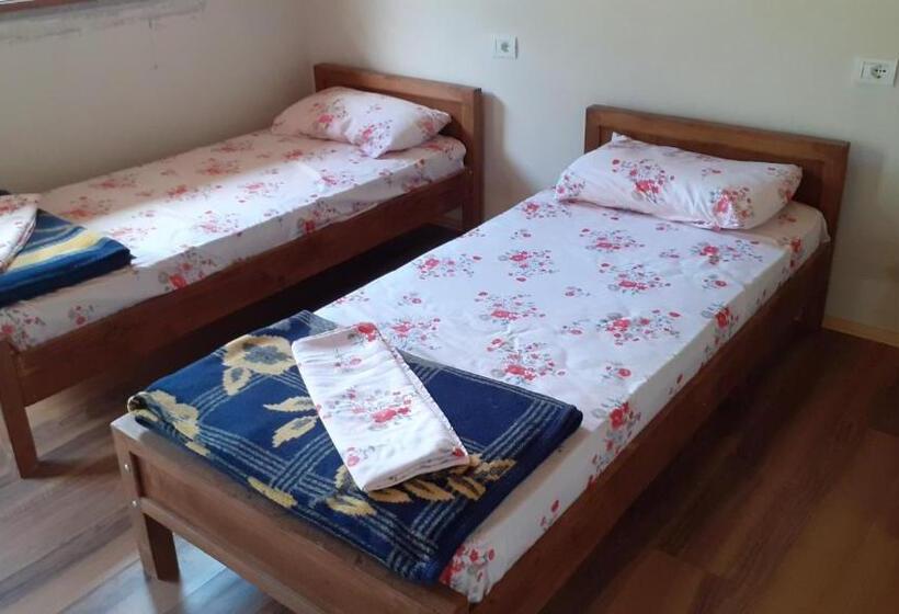 اتاق استاندارد, Driti Gh Nderlysa