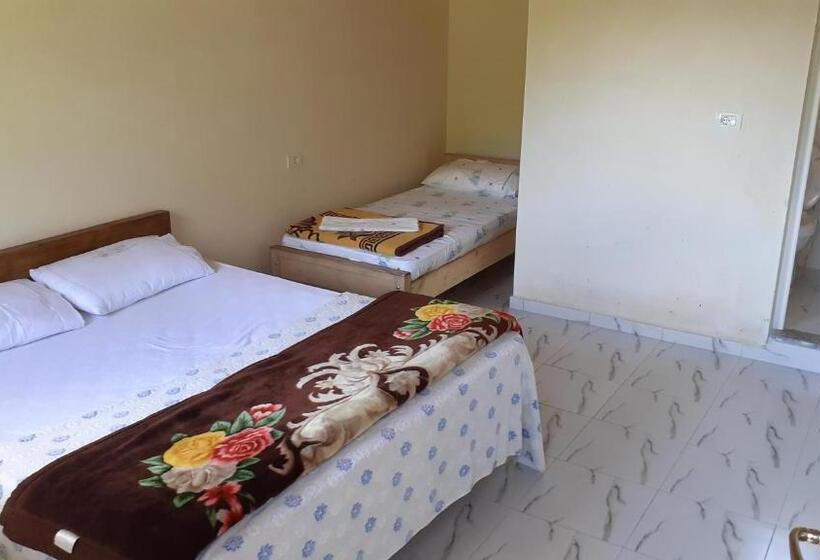 اتاق استاندارد, Driti Gh Nderlysa