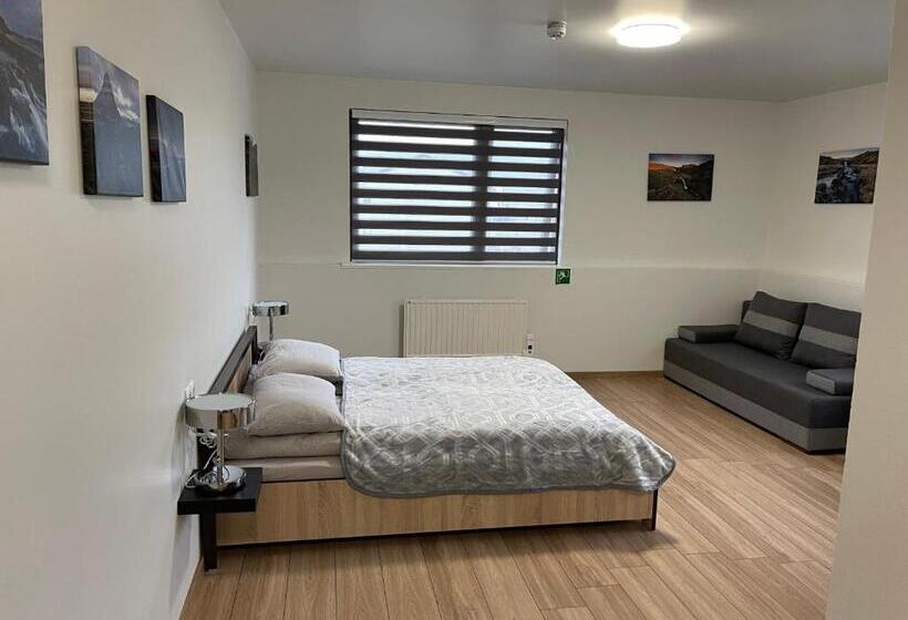 آپارتمان 1 خوابه با چشم‌انداز, Helgrindur Guesthouse