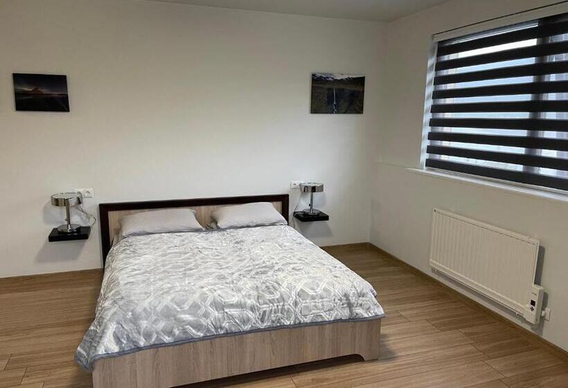 آپارتمان 1 خوابه با چشم‌انداز, Helgrindur Guesthouse