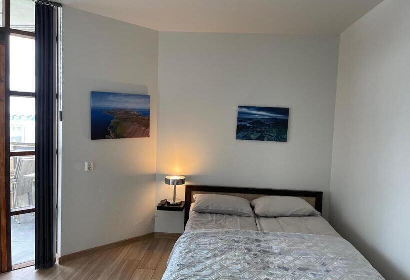 اتاق استاندارد یک نفره, Helgrindur Guesthouse