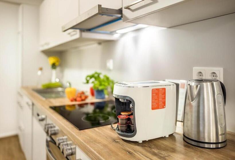 带2个卧室的套房, Jimmy S Apartments Siena