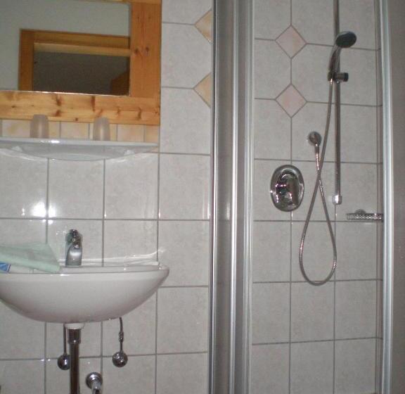 标准单人间, Alpenhof Alt Lähn