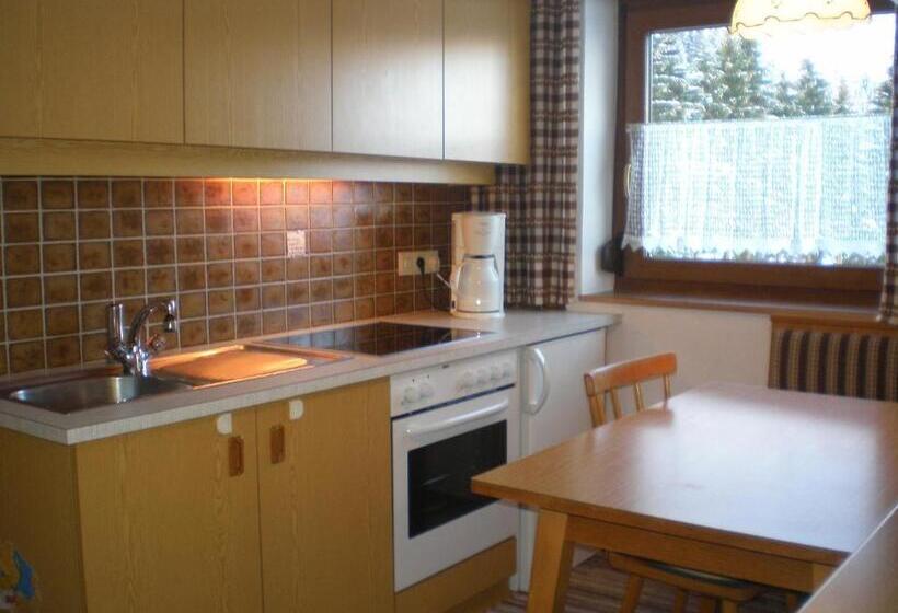 带1个卧室的带阳台的公寓, Alpenhof Alt Lähn