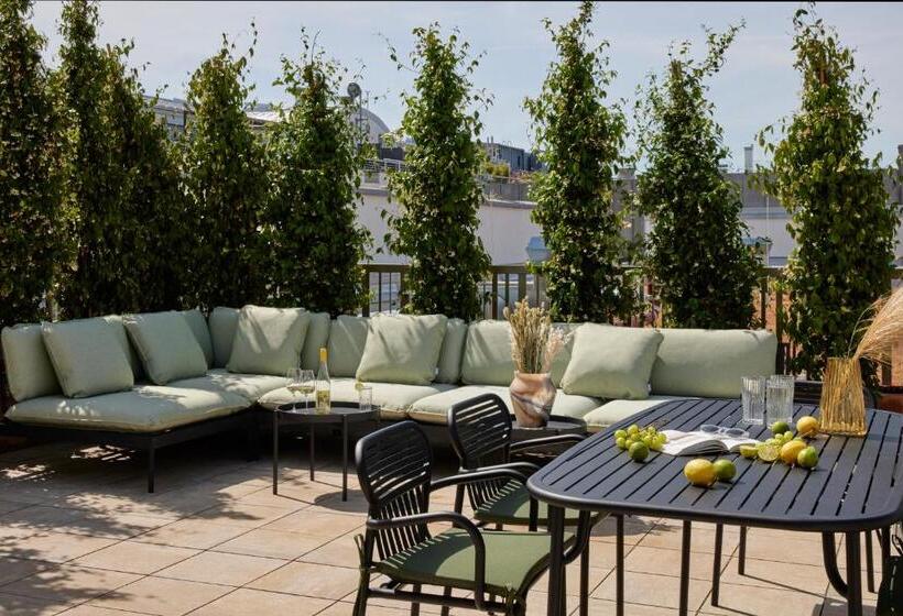 Sviitti, Schwan Locke