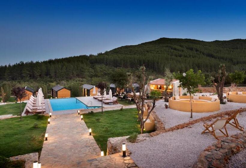 اتاق استاندارد با چشمانداز کوهستان, Kairos