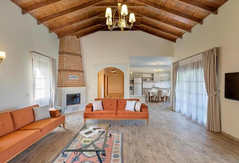 اتاق استاندارد با چشمانداز کوهستان, Kairos