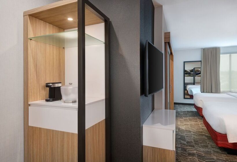 Люкс, Springhill Suites By Marriott Weatherford Willow Park