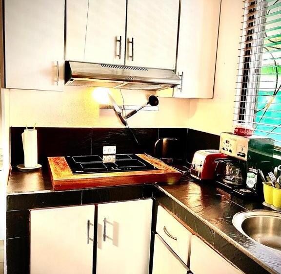 低层单卧公寓, Budda Home