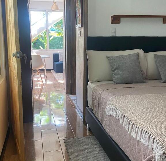 标准工作室, Budda Home