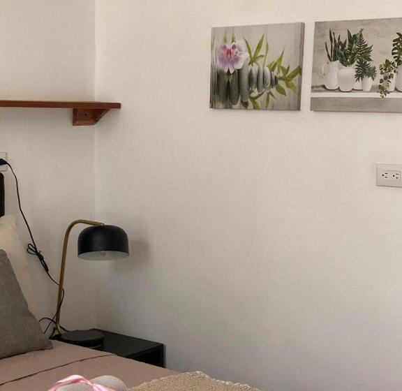 标准工作室, Budda Home