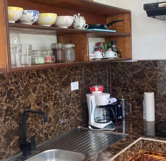 标准工作室, Budda Home