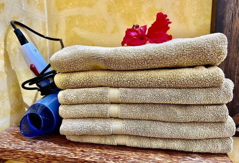 اتاق استاندارد چهارنفره با چشمانداز باغ, Chikachika Beach B&b