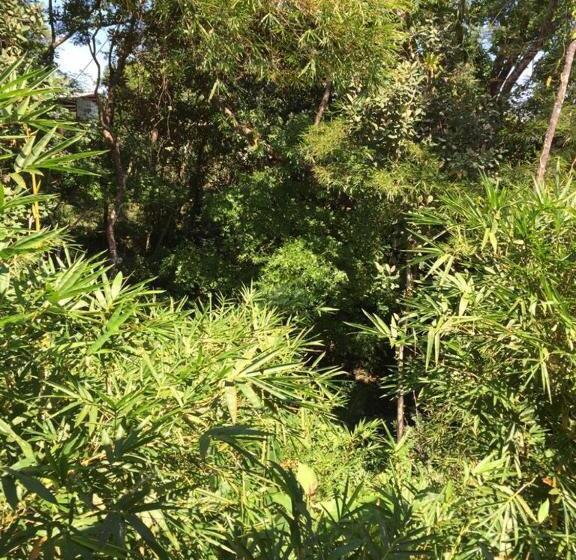 デラックスルーム, Magic Mountain Lodge