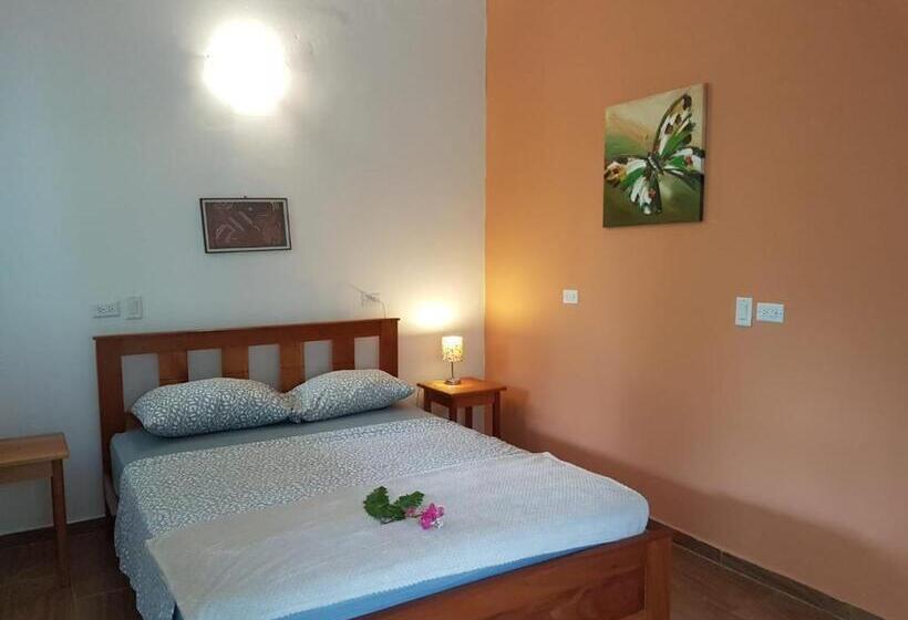 スタンダードルーム, Magic Mountain Lodge