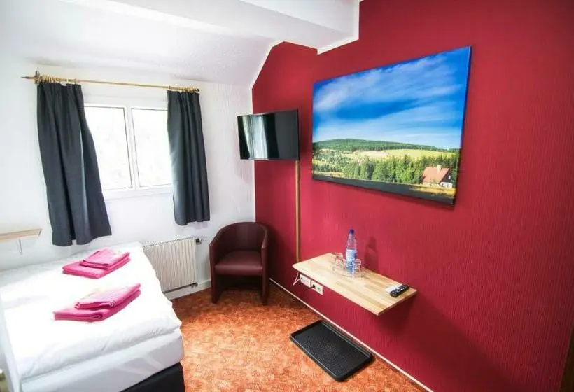 スタンダードシングルルーム, Berghotel Bärenstein