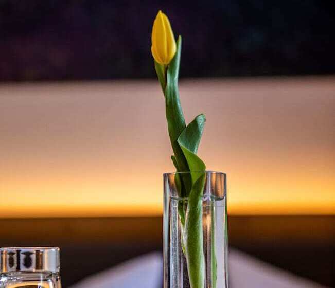 스탠다드 싱글 룸, Berghotel Bärenstein