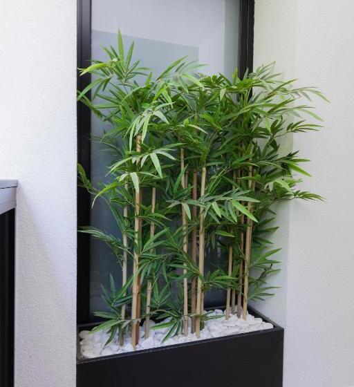 اتاق لوکس با بالکن, Borneo