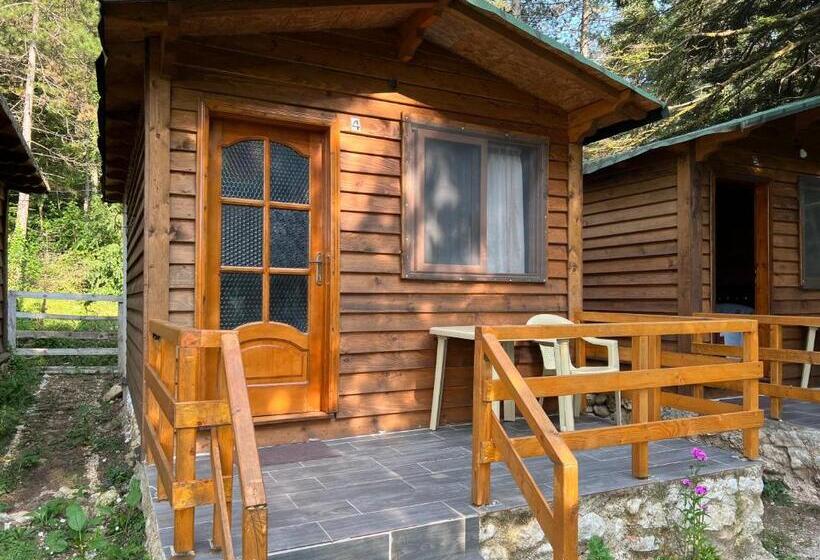 اتاق خانوادگی, Bujtina Uji I Panjes, Log Cabins