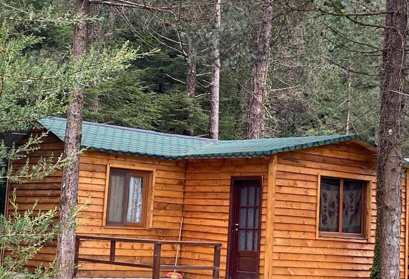 آپارتمان 2 خوابه, Bujtina Uji I Panjes, Log Cabins