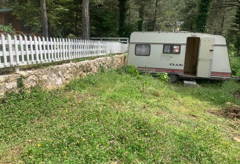 آپارتمان 1 خوابه, Bujtina Uji I Panjes, Log Cabins