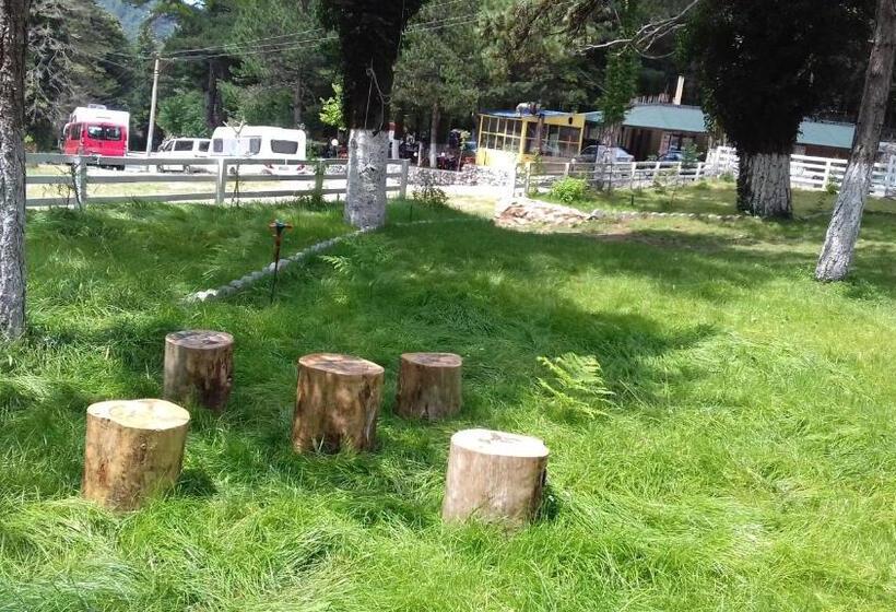 آپارتمان 1 خوابه, Bujtina Uji I Panjes, Log Cabins