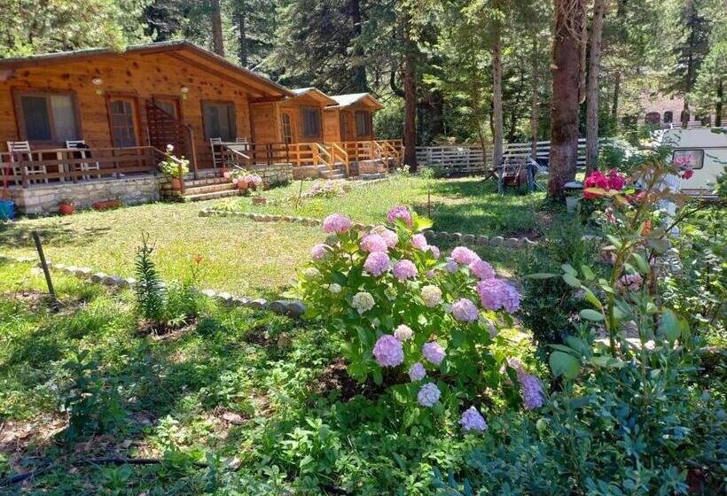 اتاق خانوادگی, Bujtina Uji I Panjes, Log Cabins