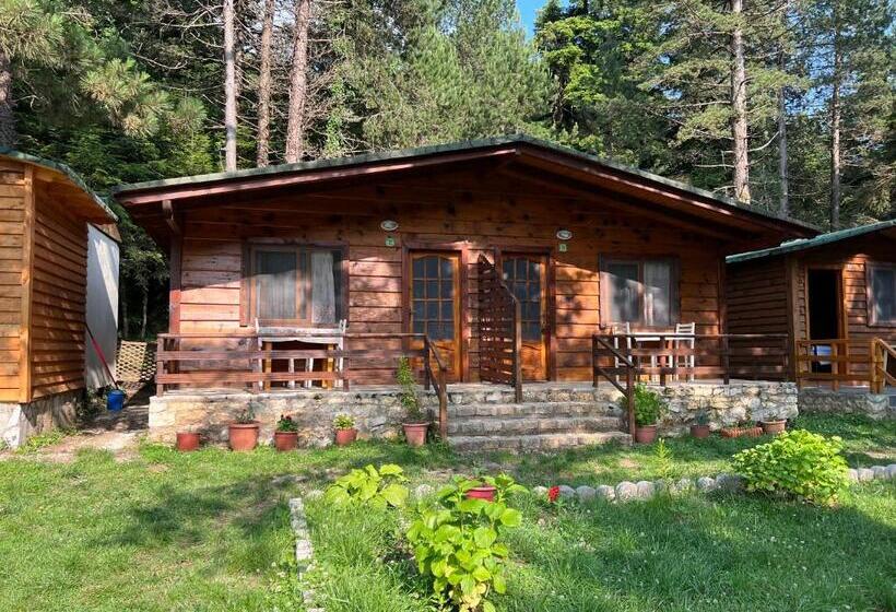 آپارتمان 1 خوابه, Bujtina Uji I Panjes, Log Cabins