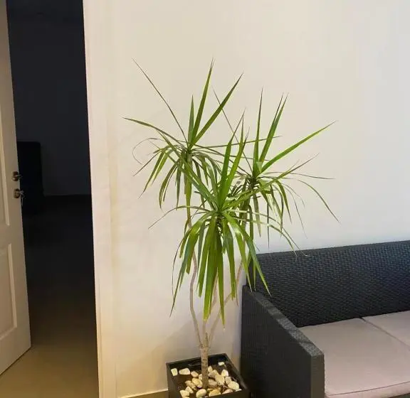 اتاق خانوادگی با سرویس بهداشتی مشترک, Omis Rooms