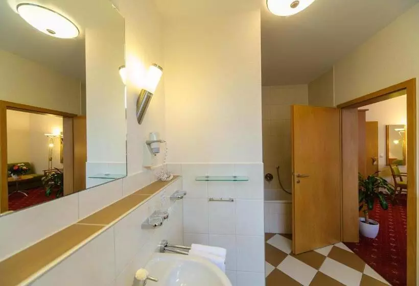 コンフォートルーム, Akzent Hotel Goldner Stern
