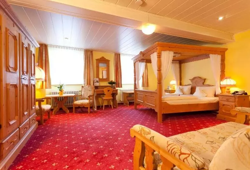 スタンダードルーム, Akzent Hotel Goldner Stern