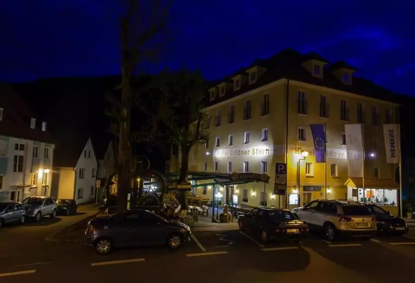 スタンダードルーム, Akzent Hotel Goldner Stern