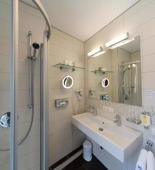 スタンダードルーム, Akzent Hotel Goldner Stern