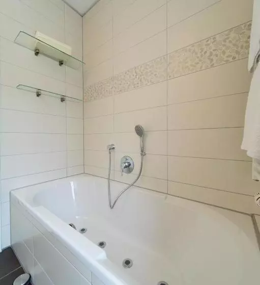 スタンダードルーム, Akzent Hotel Goldner Stern