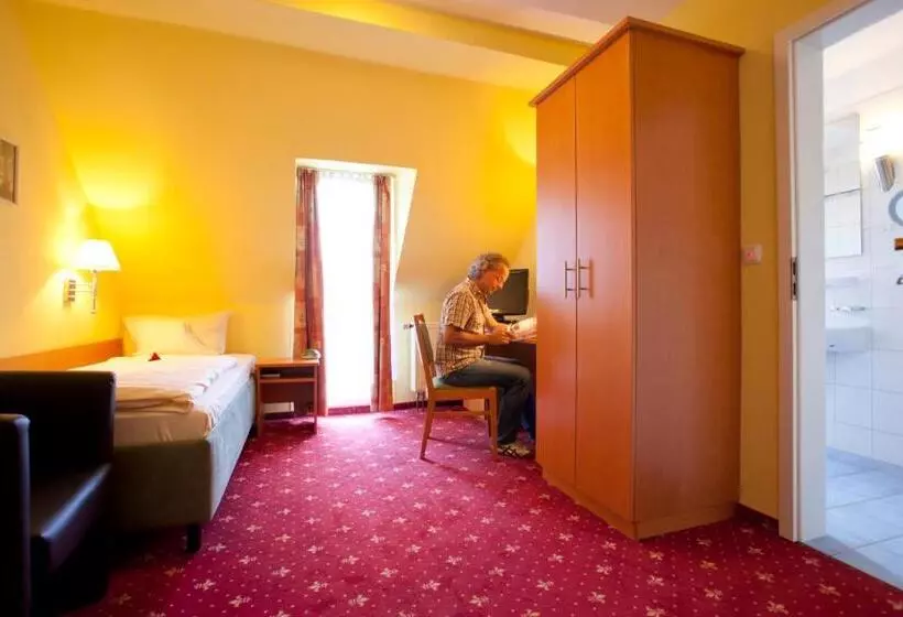 スタンダードシングルルーム, Akzent Hotel Goldner Stern
