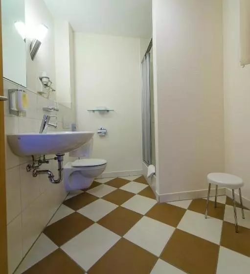 シングルデラックスルーム, Akzent Hotel Goldner Stern