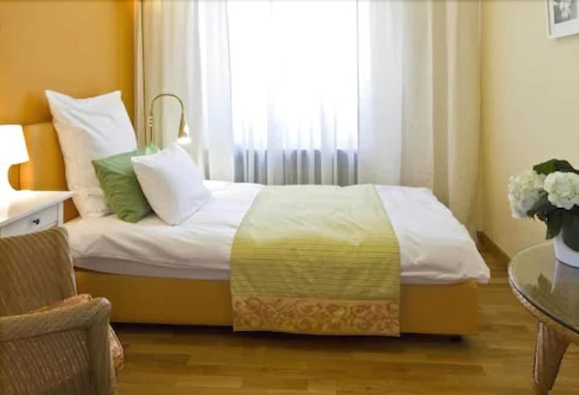 Номер Стандарт Индивидуальный, Buchholz Downtown