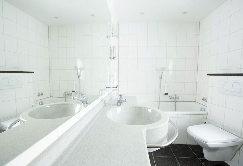 컴포트 룸, Boutiquehotel Goldhahn Bio Sport & Wellness