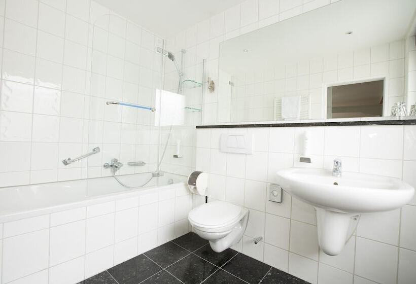 컴포트 룸, Boutiquehotel Goldhahn Bio Sport & Wellness