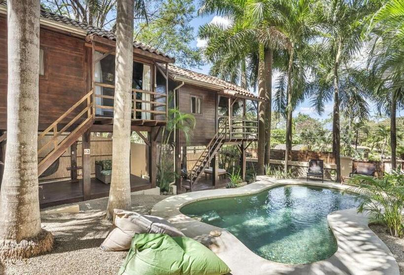 Бунгало Стандарт, The Beach Bungalows   Yoga And Surf House   Adults Only