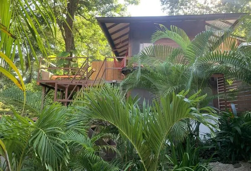デラックスバンガロー, The Beach Bungalows