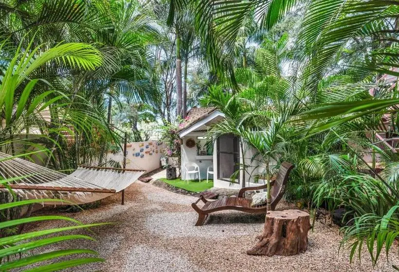 シングルベーシックルーム, The Beach Bungalows