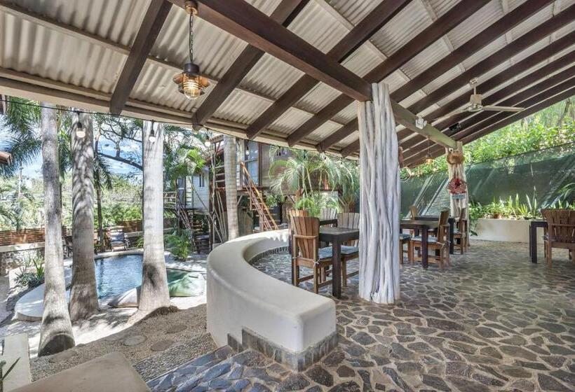 Одноместный Номер Basic, The Beach Bungalows   Yoga And Surf House   Adults Only