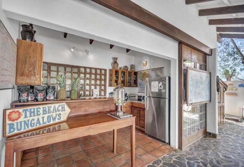 Одноместный Номер Basic, The Beach Bungalows   Yoga And Surf House   Adults Only