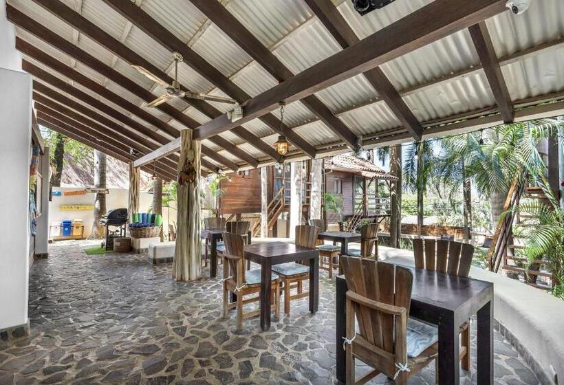 Одноместный Номер Basic, The Beach Bungalows   Yoga And Surf House   Adults Only