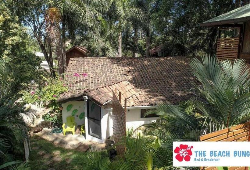 Одноместный Номер Basic, The Beach Bungalows   Yoga And Surf House   Adults Only